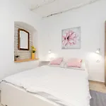 Studio Apartment Sisi
